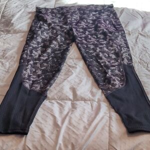 Ariat Tek Knee Patch Tights Breeches Equestrian